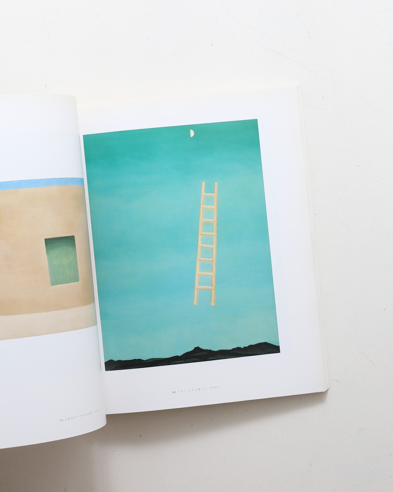 ジョージア・オキーフ アメリカン＆モダン | nostos books ノストス