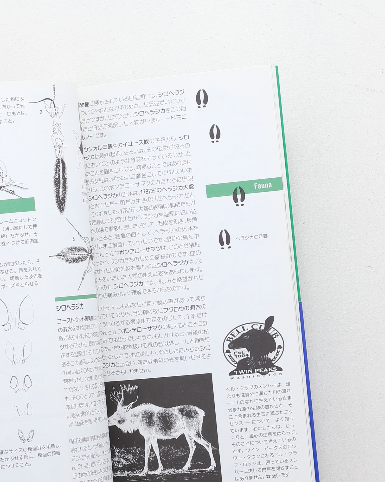 ツイン・ピークスの歩き方 | デヴィッド リンチ ほか | nostos books