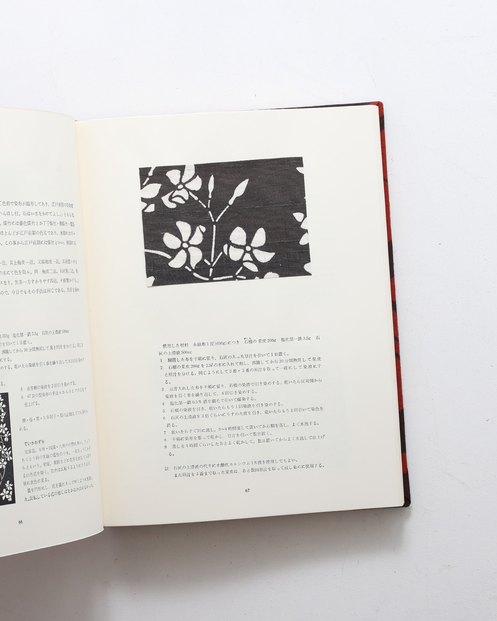 草木染 型染の色 | 山崎青樹 | nostos books ノストスブックス