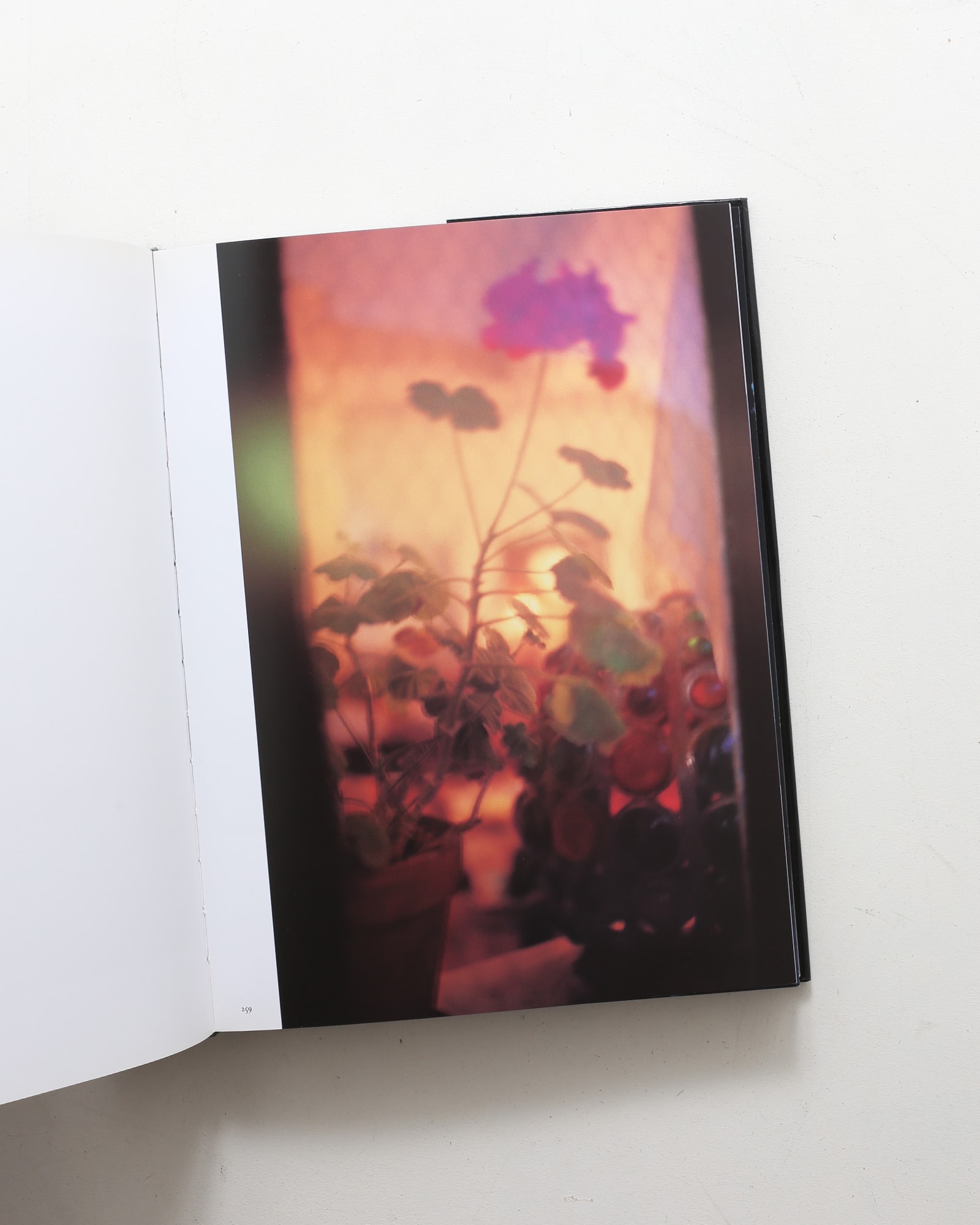 悪魔の遊び場 | ナン・ゴールディン | nostos books ノストスブックス