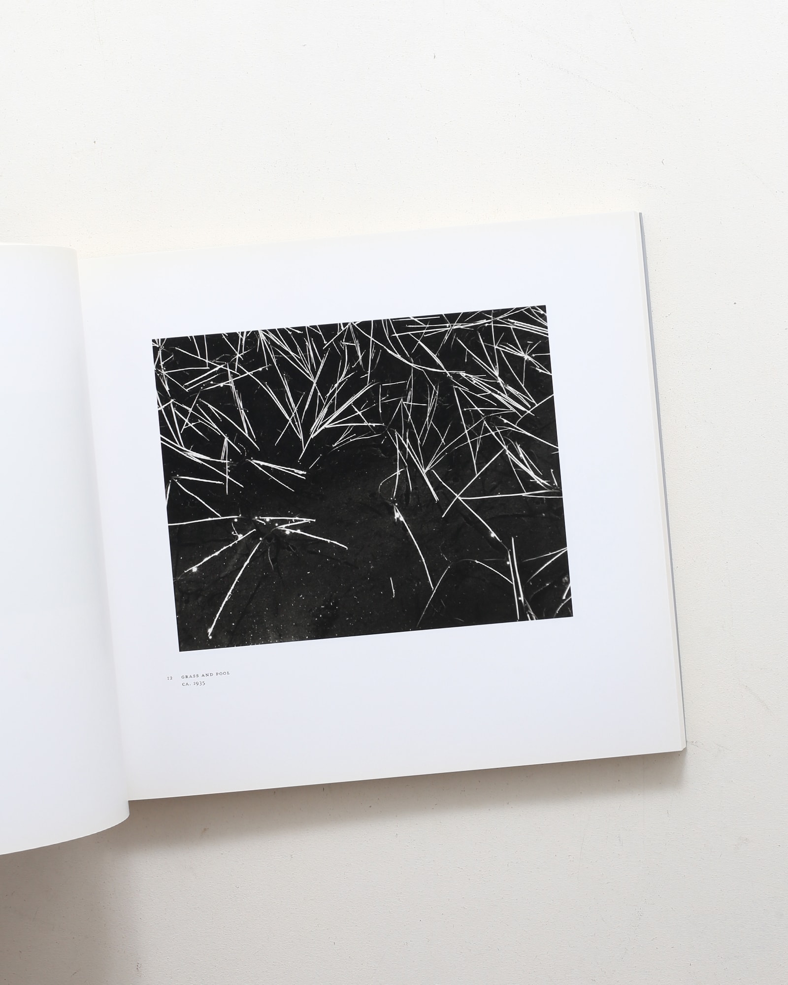 Ansel Adams at 100 | アンセル・アダムス | nostos books ノストス