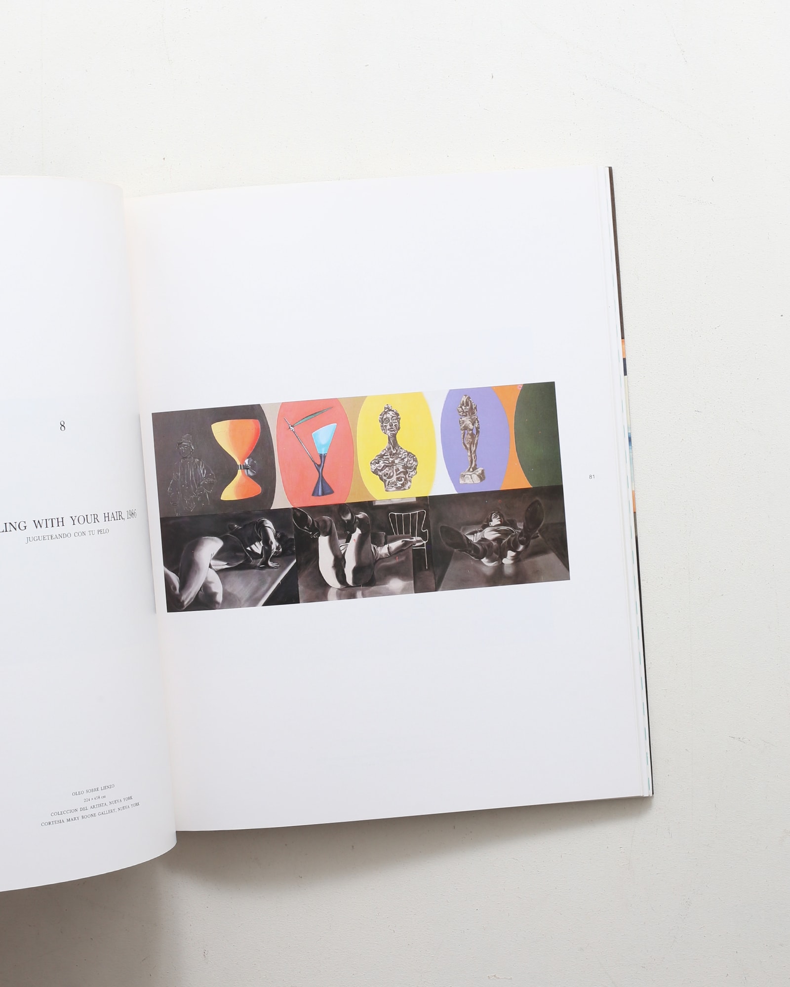 David Salle | デヴィッド・サーレ | nostos books ノストスブックス