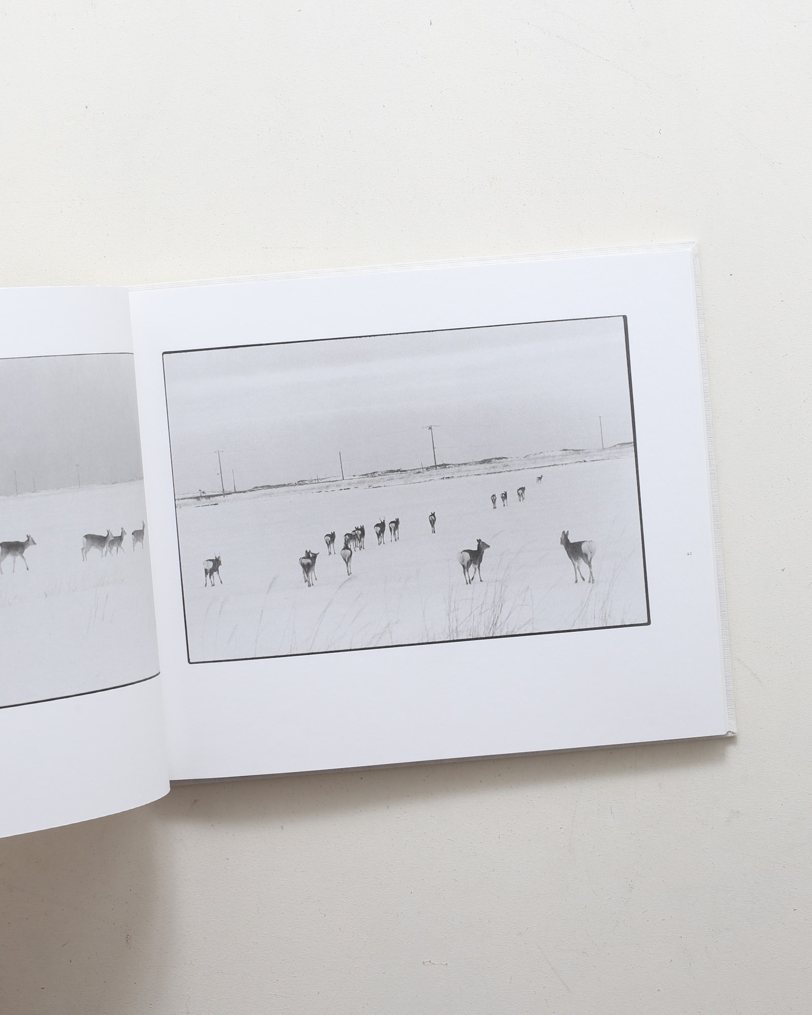 鹿渡り | 白石ちえこ | nostos books ノストスブックス