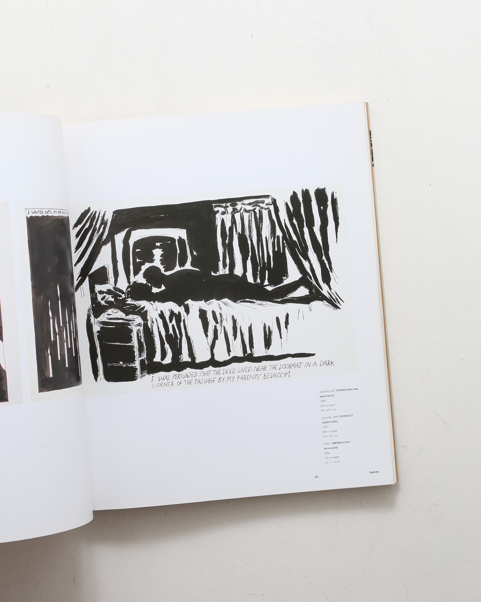 Raymond Pettibon | Phaidon Contemporary Artists Series | nostos