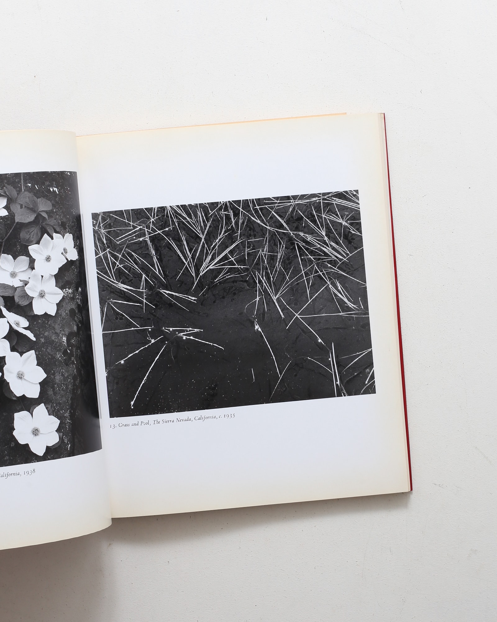 アンセル・アダムス作品集 クラシック・イメージ | nostos books