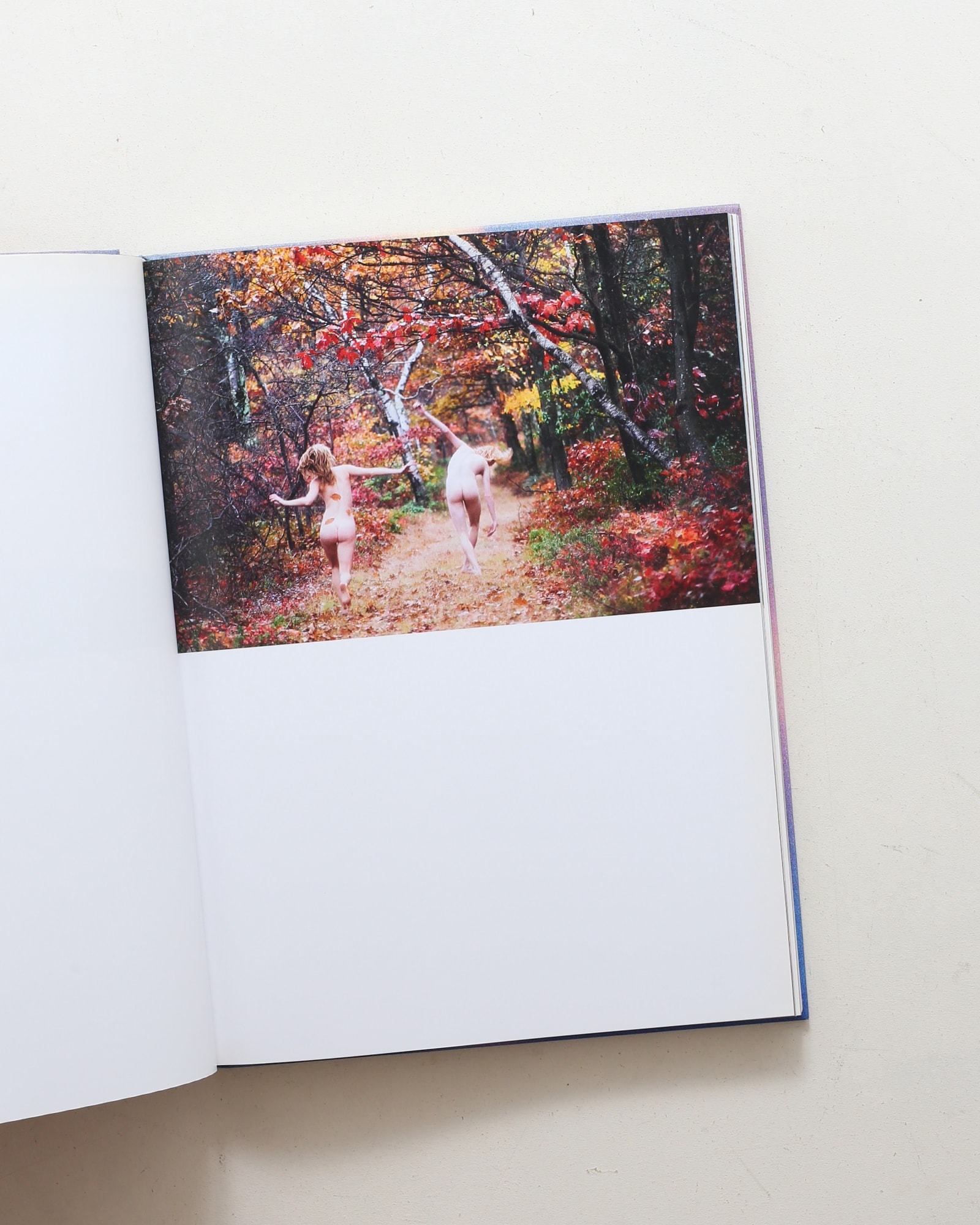 Ryan McGinley: Way Far | nostos books ノストスブックス