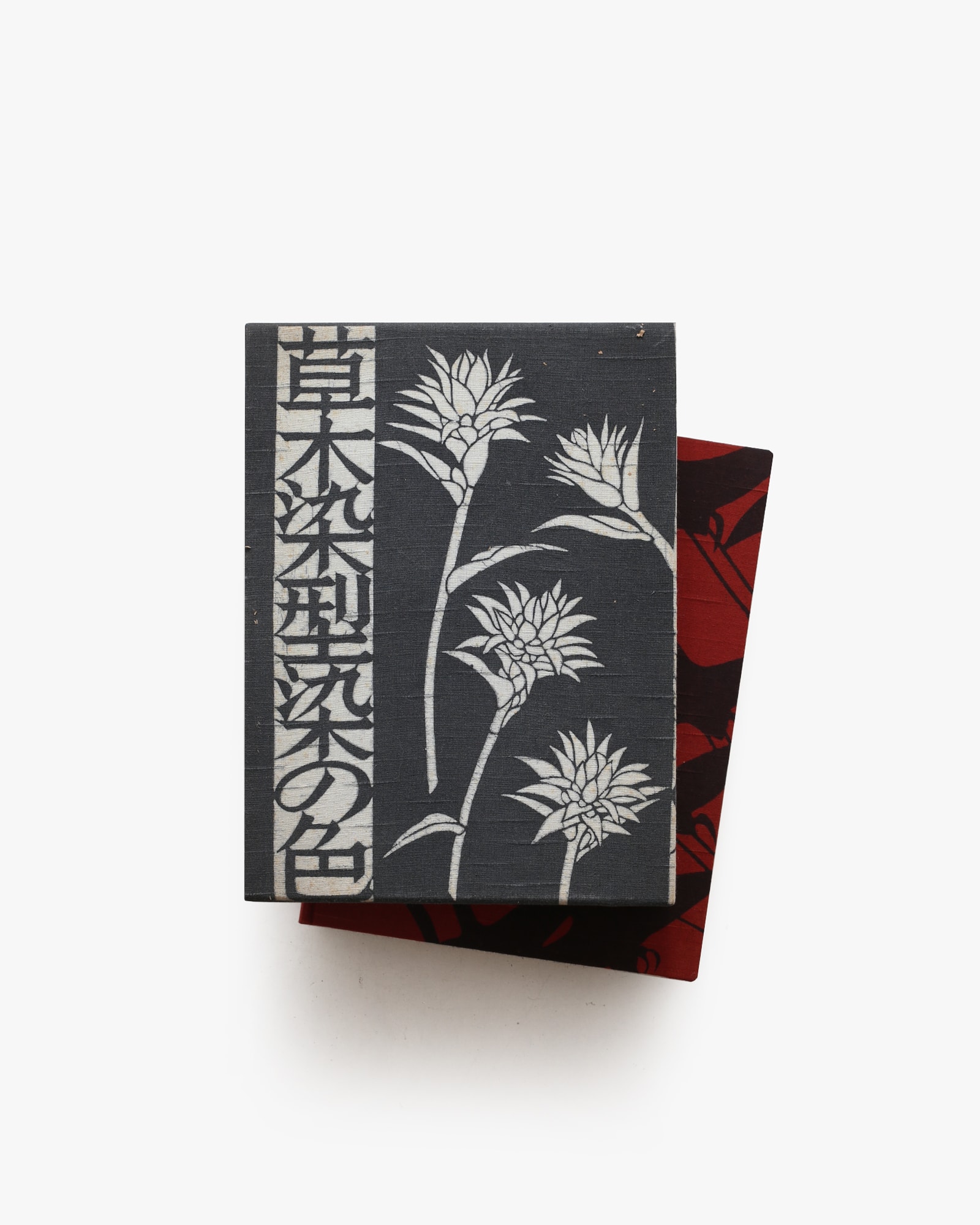 草木染 型染の色 | 山崎青樹 | nostos books ノストスブックス