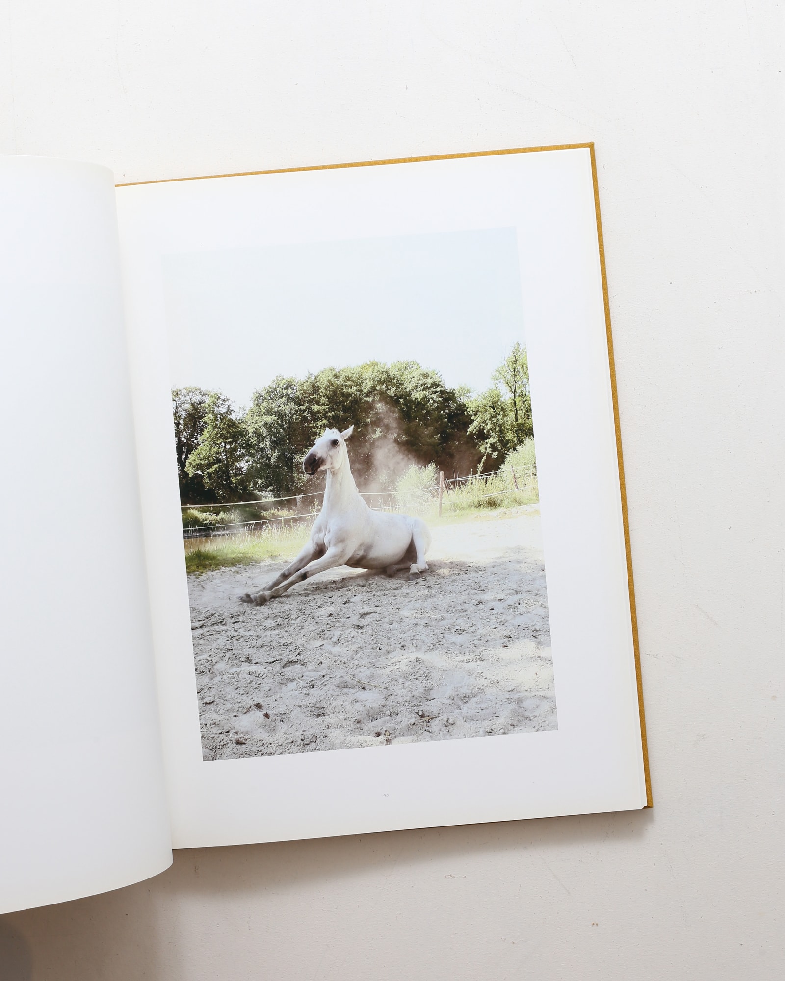 Horse | Jitka Hanzlova | nostos books ノストスブックス