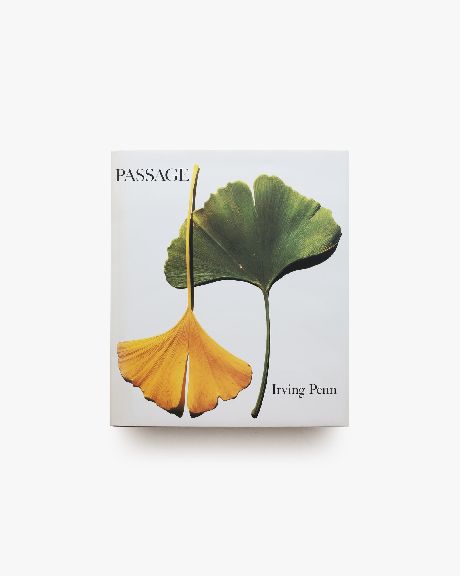 Passage | Irving Penn | nostos books ノストスブックス