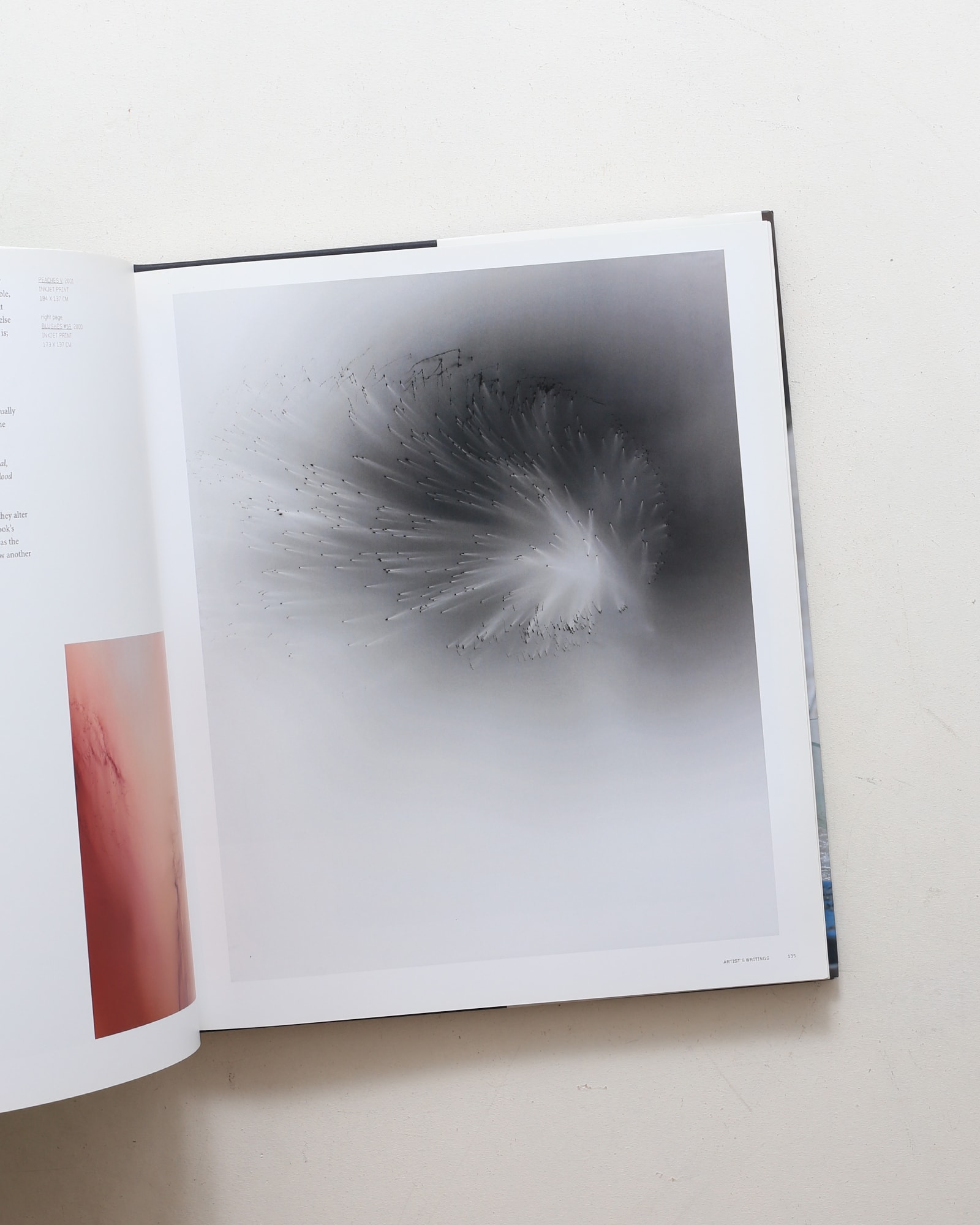 Wolfgang Tillmans | Phaidon Contemporary Artists | nostos books