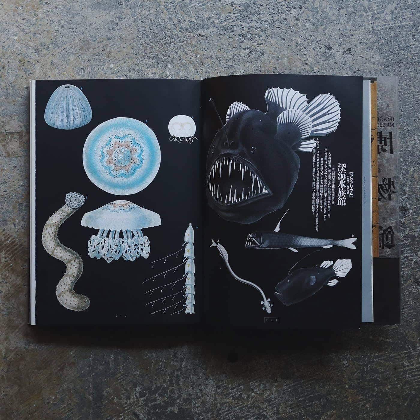 想像力を結集せよ。荒俣宏が築く本のなかの博物館 | nostos books