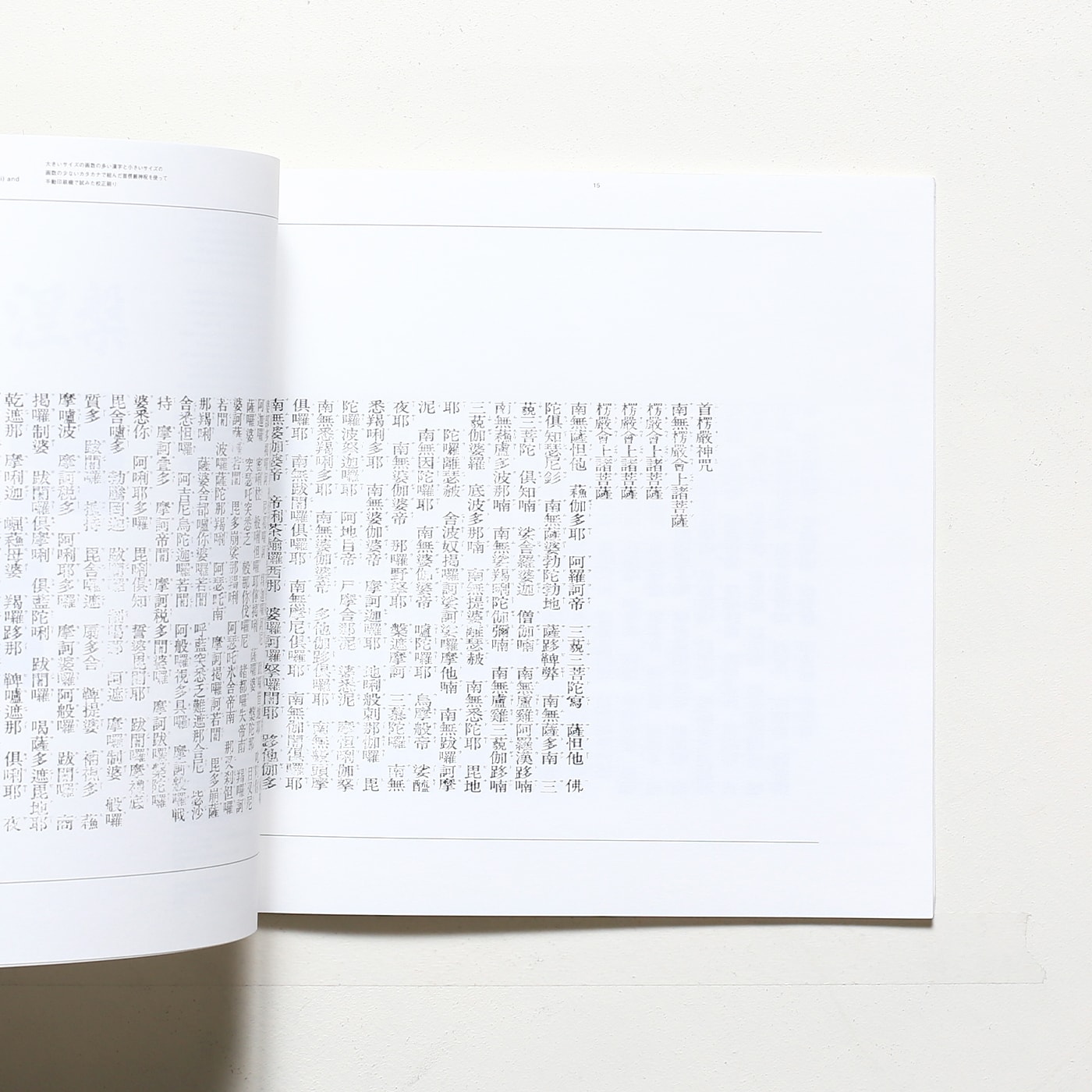 Typographic Reflections 7 | ヘルムート・シュミット | nostos books