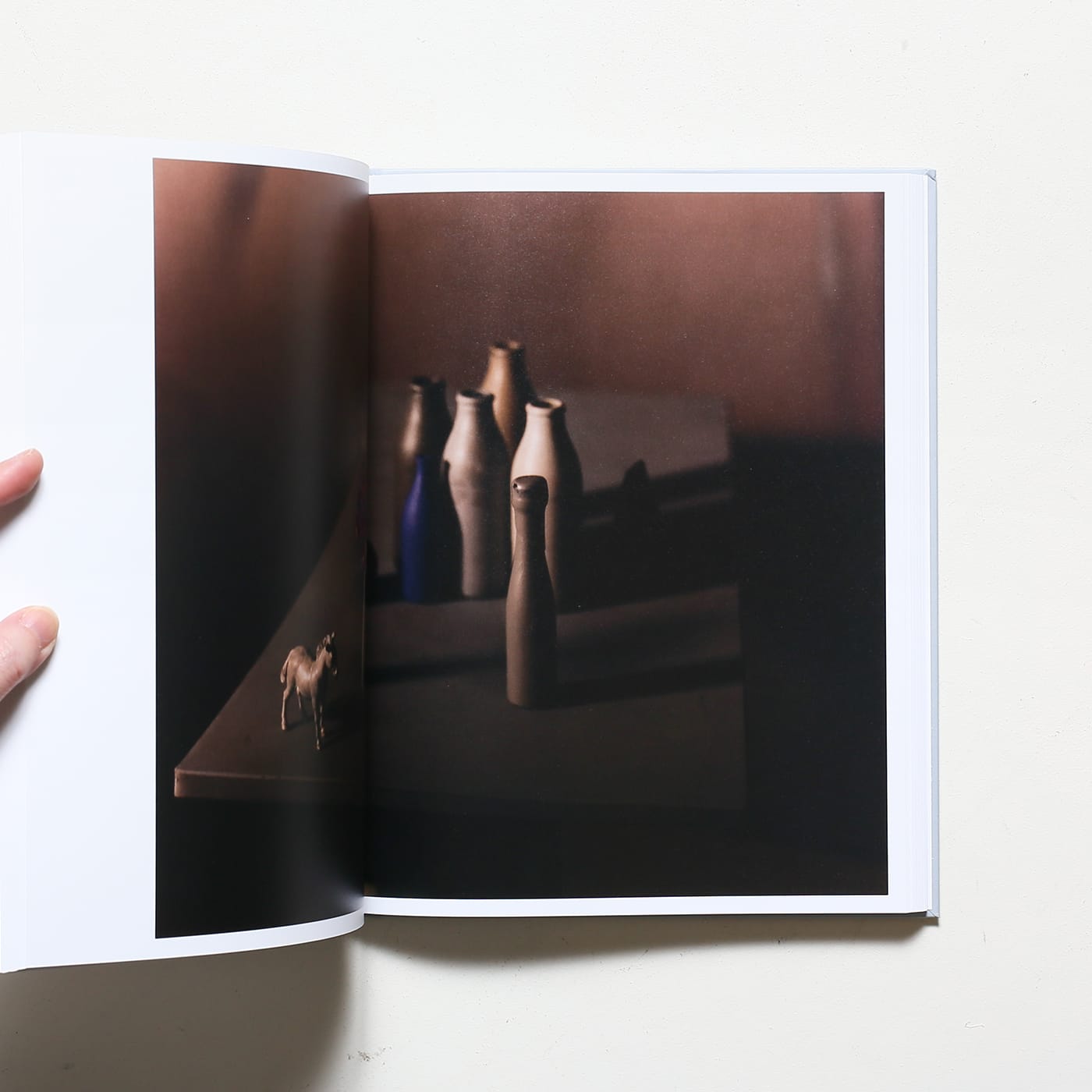 Jan Groover, Photographer: Laboratory of Forms | ヤン・グルーバー