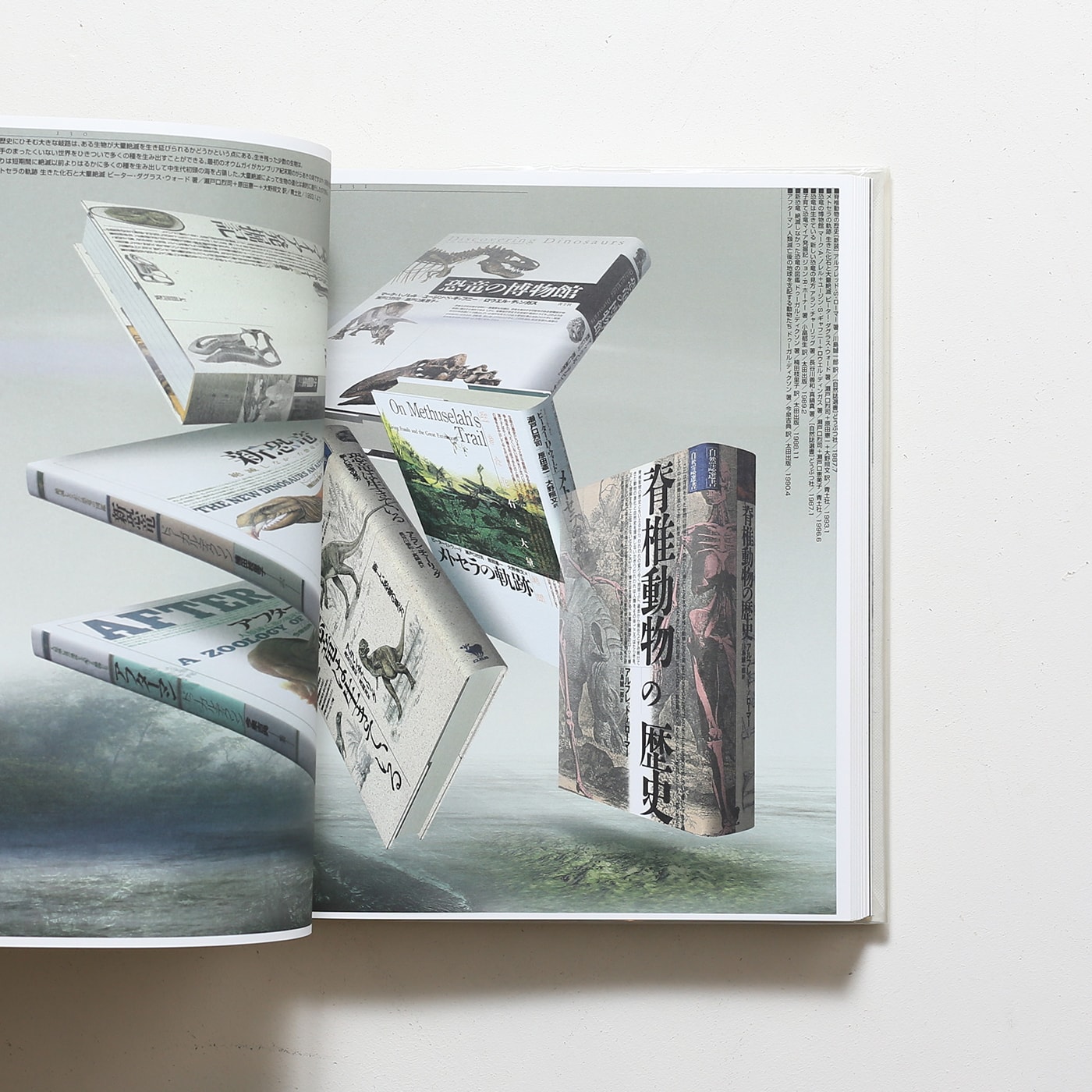 D-ZONE エディトリアルデザイン 1975-1999 | 戸田ツトム | nostos