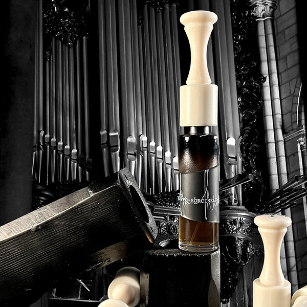 Extrait de Musique｜NOSE SHOP