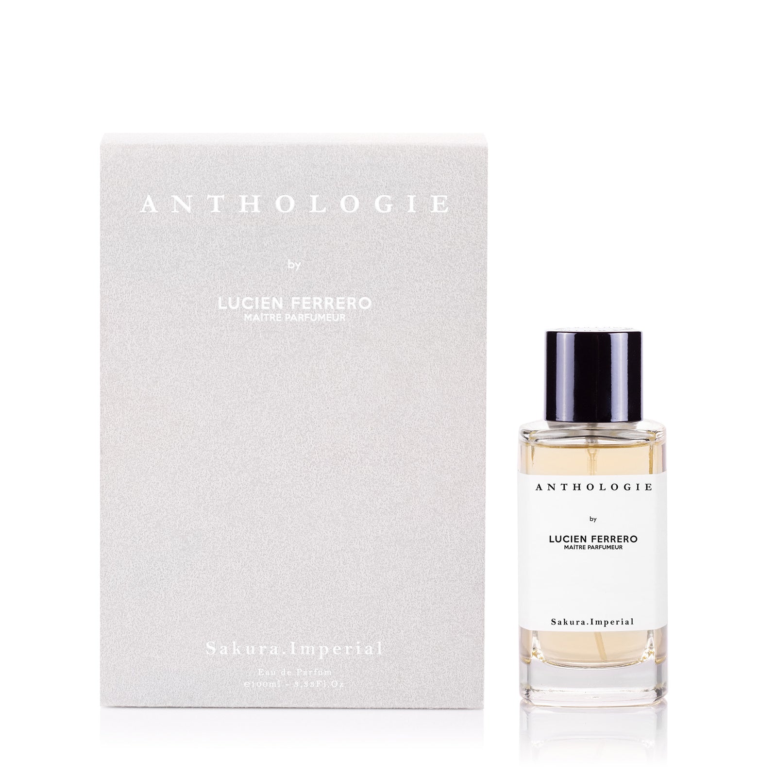 100pack_1600x.jpg?v=1698654310