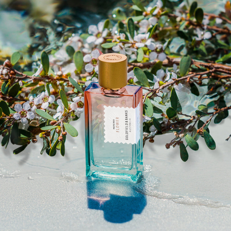 パシフィック ロック フラワー – NOSE SHOP