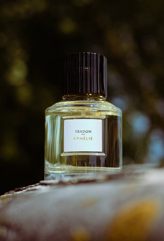 公式ノーズショップ – NOSE SHOP