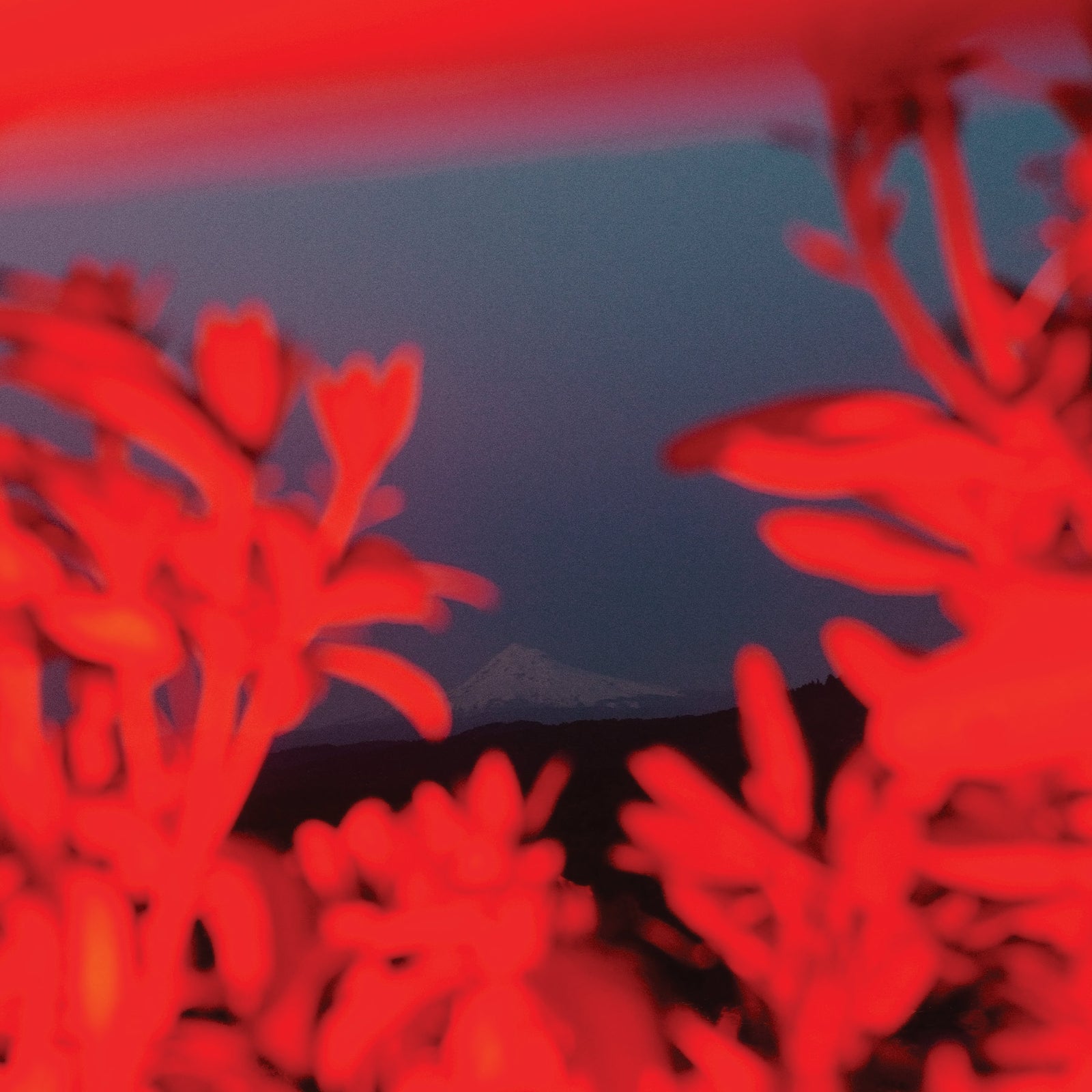 サンクレスト – NOSE SHOP