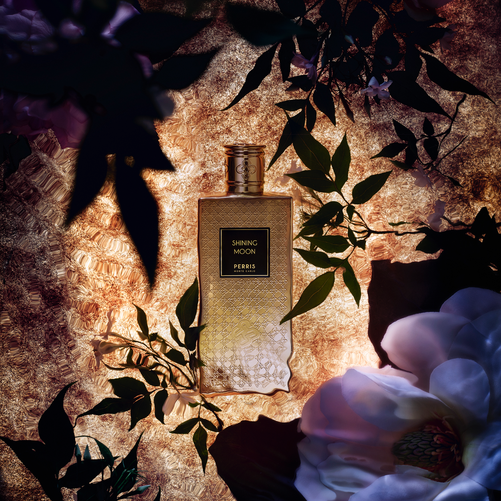 シャイニング ムーン – NOSE SHOP