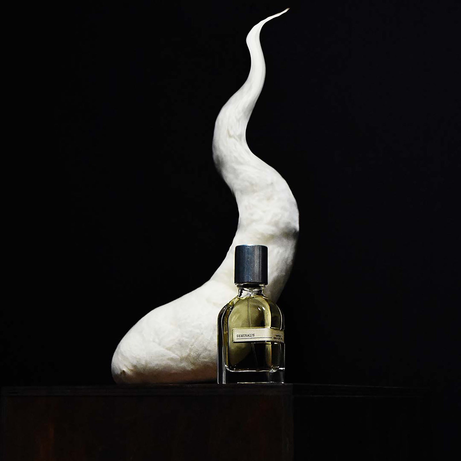 セミナリス｜精子 – NOSE SHOP