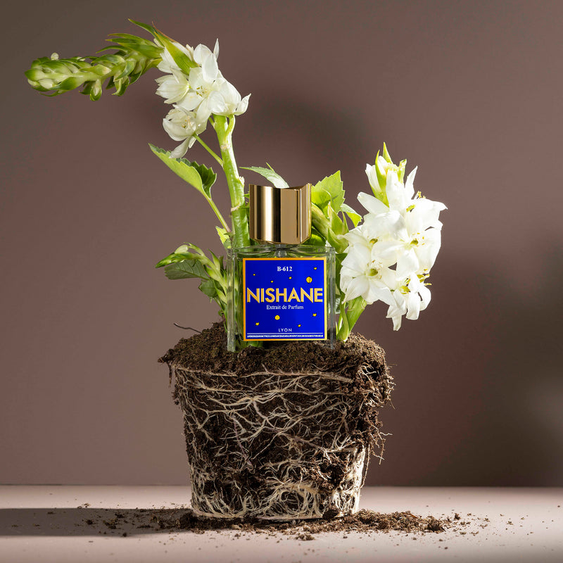 ビーロクイチニ｜小惑星B612 – NOSE SHOP