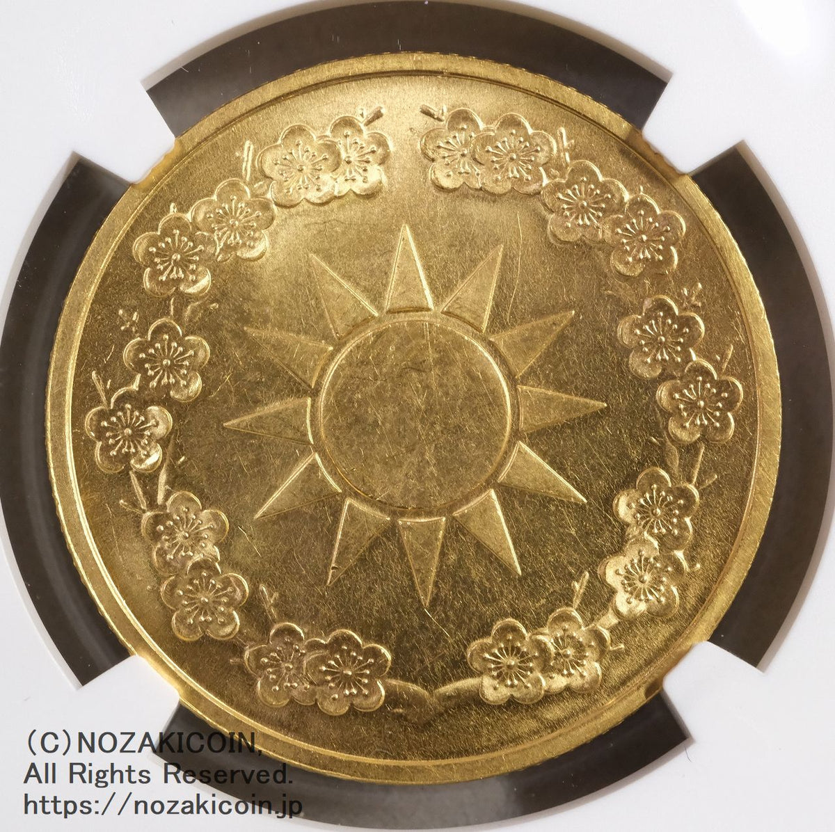 s-DSCF0773_1200x.jpg?v=1750921079