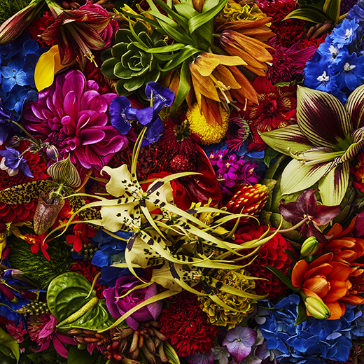 東信「今月のフラワーアート」夏の終わりのカラフルパンク | Numero TOKYO