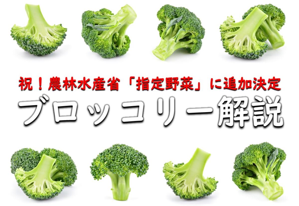 令和8年（2026年）にブロッコリーが「指定野菜」に追加決定