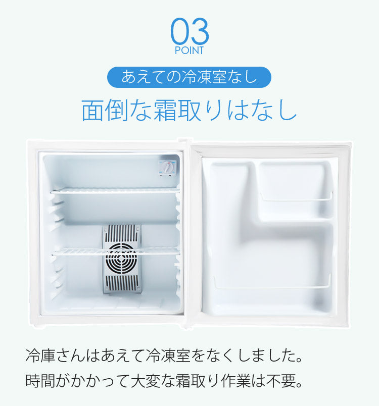 当店限定180日延長保証】 Sun Ruck 木目調 冷蔵庫 48L ペルチェ方式 1