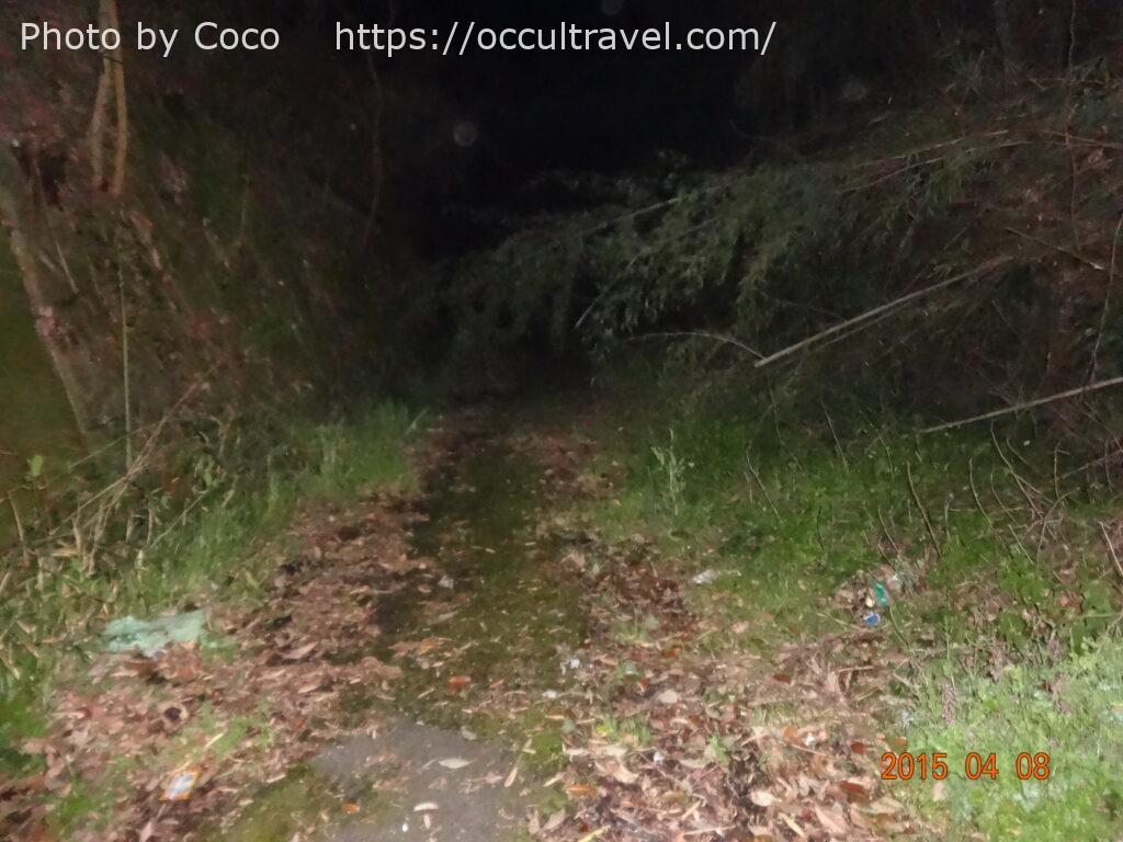 心霊スポット】住人達は一体どこに？七つの家。【山口県】 | オカルト