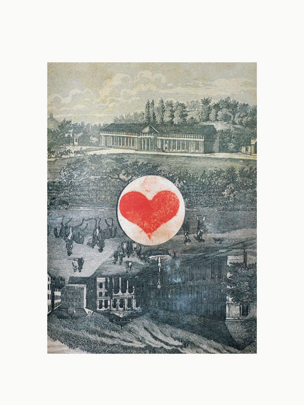 John Derian Picture Book - The Oblist