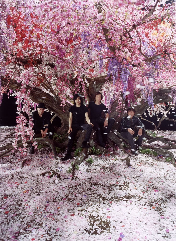 桜の花舞い上がるエレカシの武道館公演がDVDリリース - 音楽ナタリー