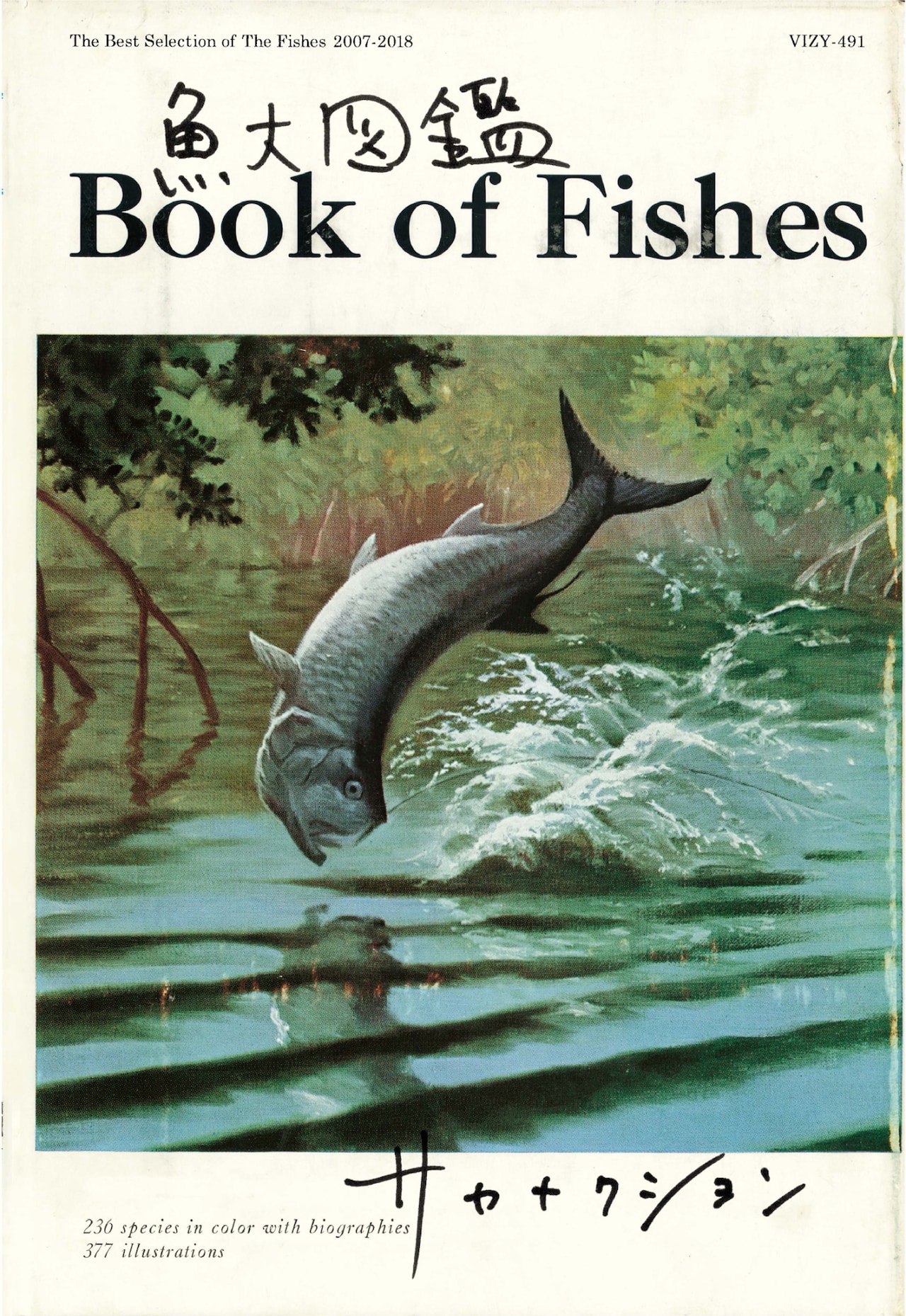 サカナクション「魚図鑑」完全生産限定盤プレミアムBOXに付属する「魚