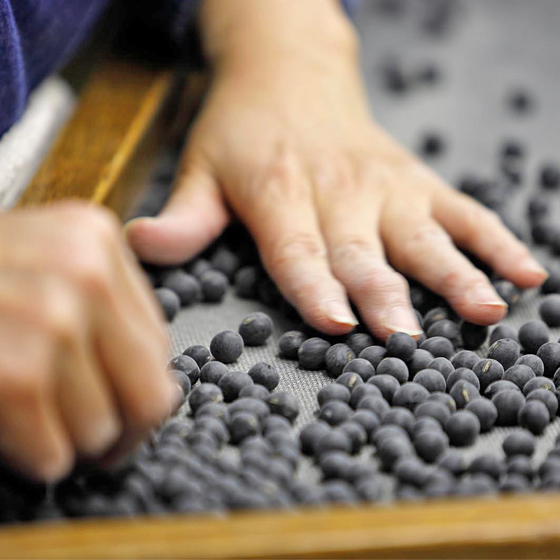 大玉丹波黒大豆 600g｜丹波黒大豆の小田垣商店 | 公式オンライン