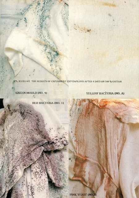 9/4/1615 - Margiela – Offbrand Library