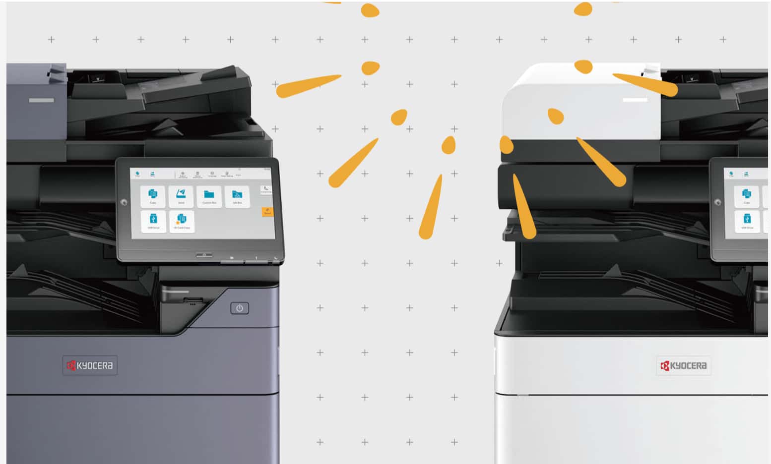 ca71e65752246acf7390ecf453ff50