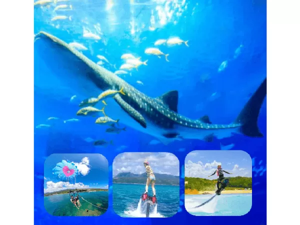 パラセ―リング＋美ら海水族館チケット』チケット代小中学生100円～大人