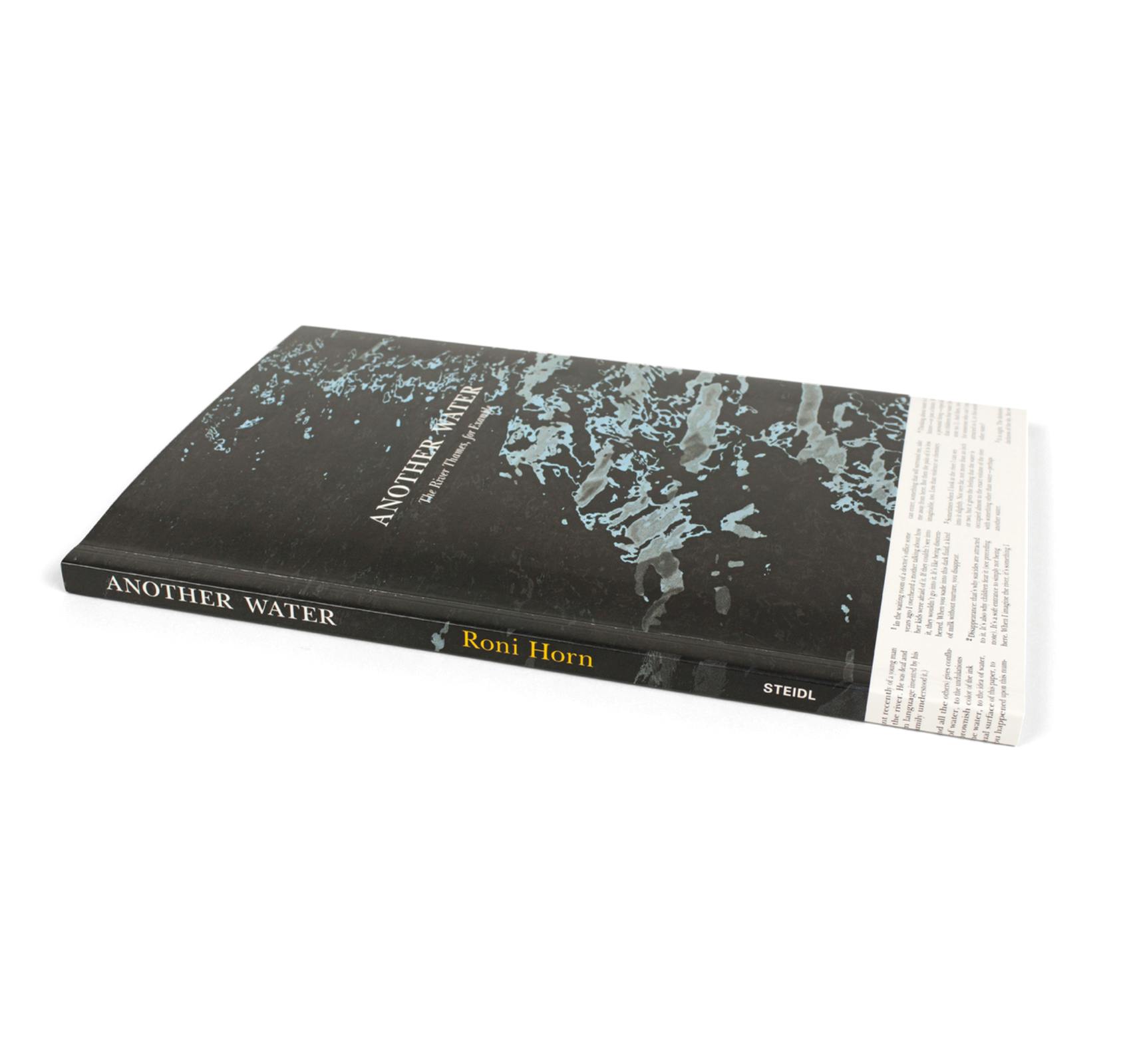 アート・デザイン・音楽 ANOTHER WATER by Roni Horn アート・デザイン
