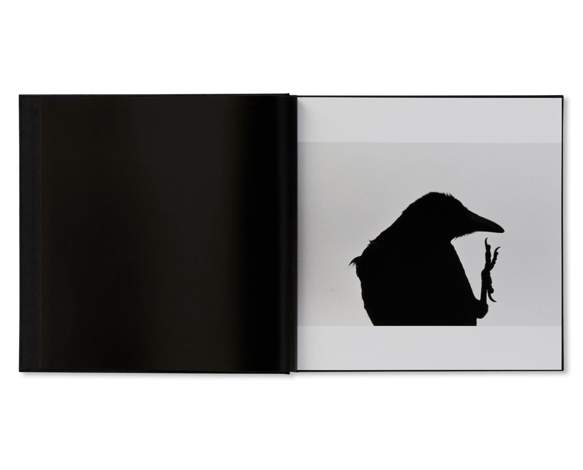 鴉 / RAVENS：深瀬昌久 | OIL - 現代アート・絵画の販売・通販