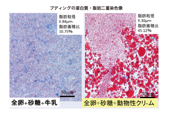 組織構造 | おいしさの科学研究所
