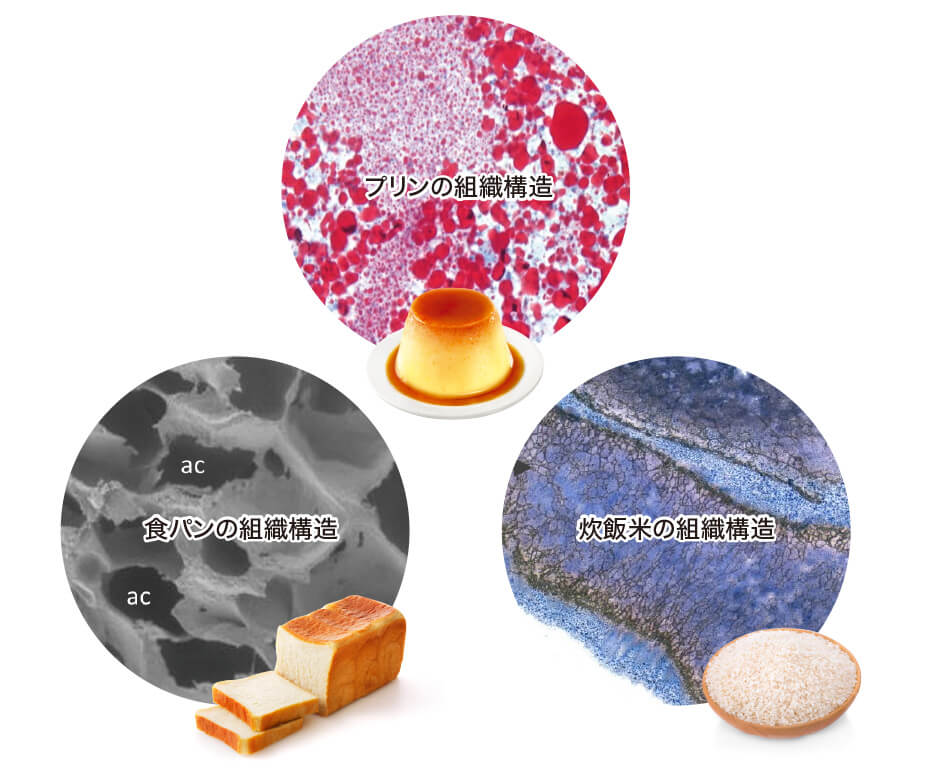 組織構造 | おいしさの科学研究所