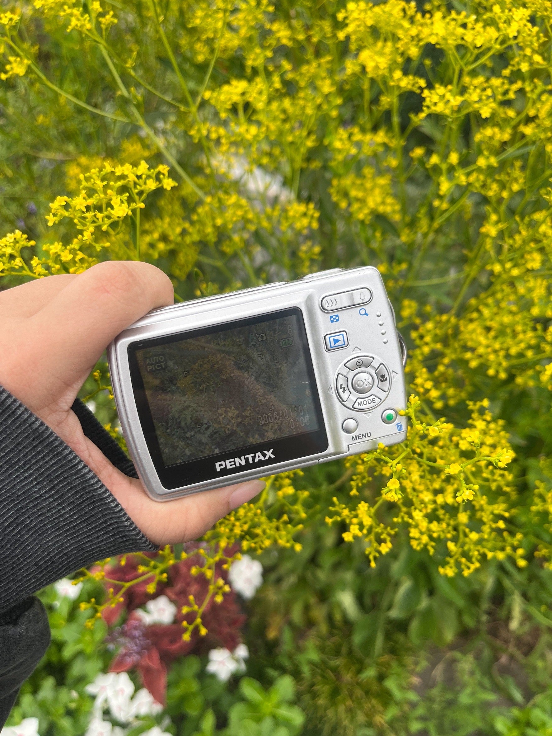 PENTAX Optio M20 – オールドコンデジ専門店 Tugumi