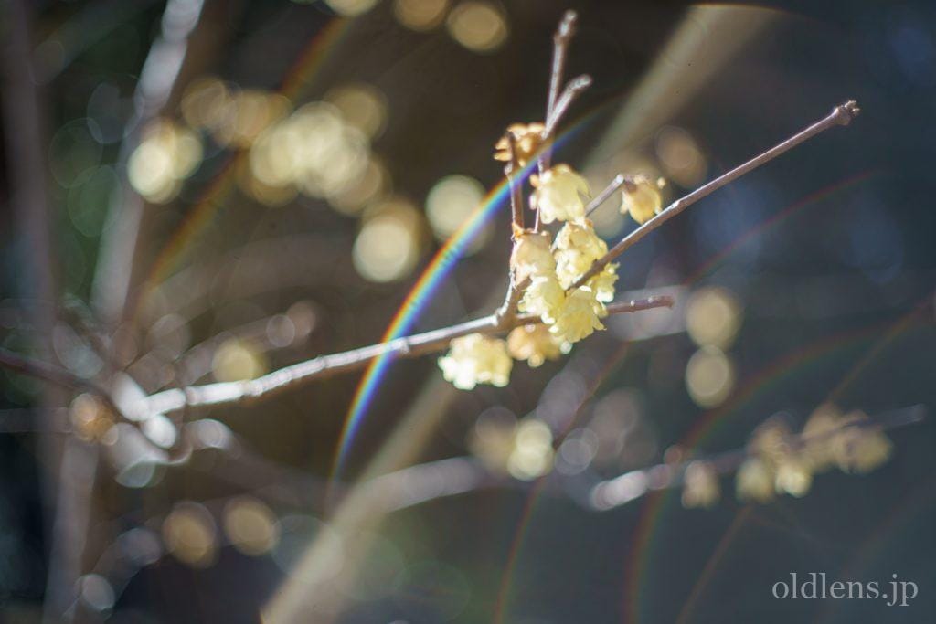 Yashica Auto Yashinon-DX 50mm F1.4 M42 Review作例 富岡光学製