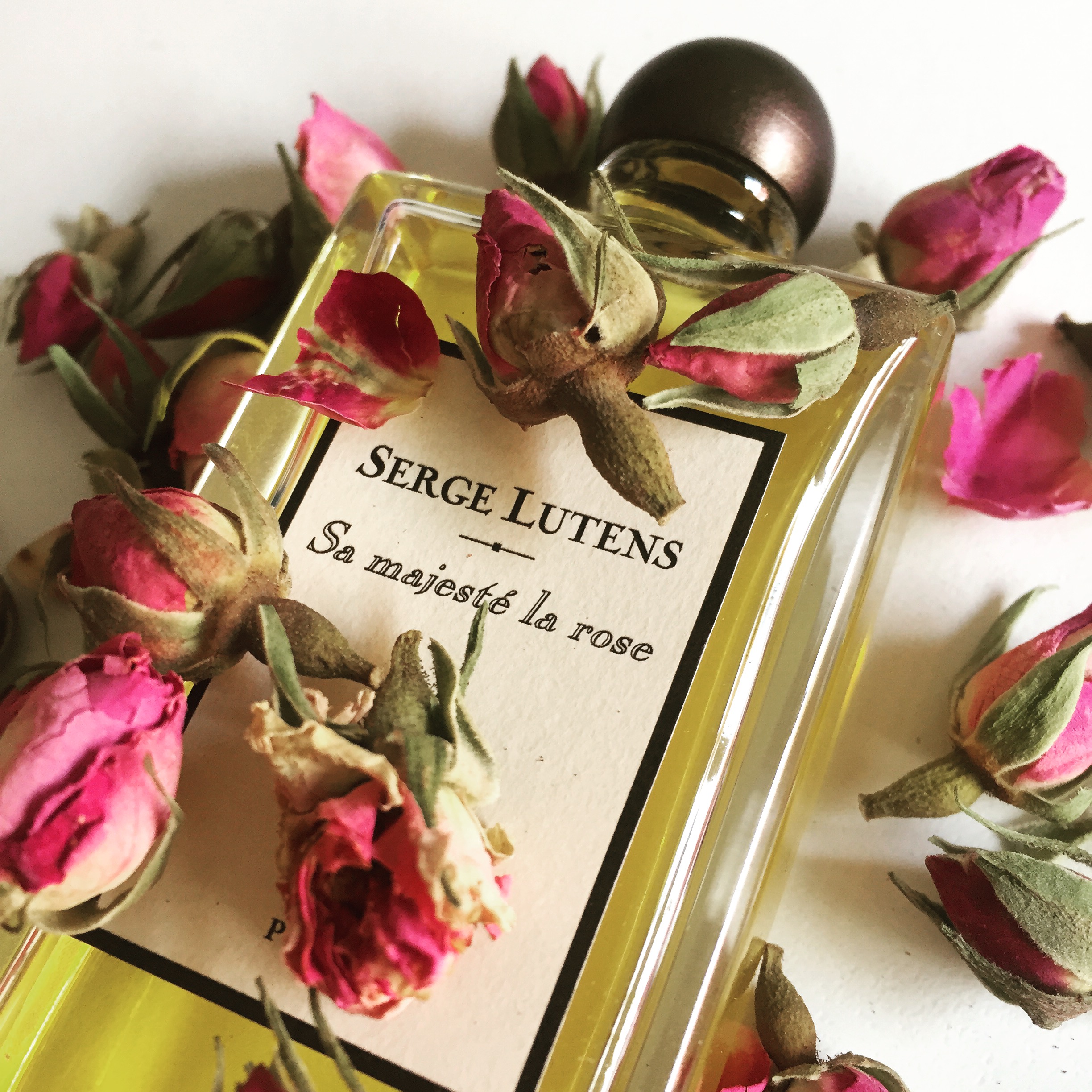 On Rose: The Soliflore – Sa Majesté la Rose by Serge Lutens