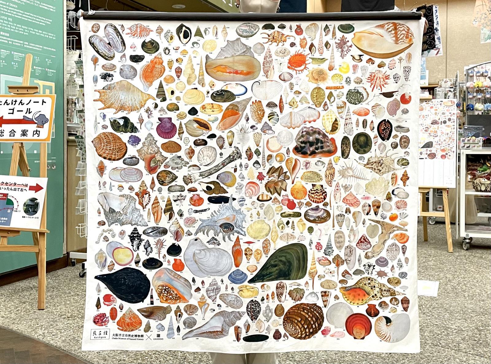貝千種」風呂敷 - 大阪市立自然史博物館友の会ネットショップ