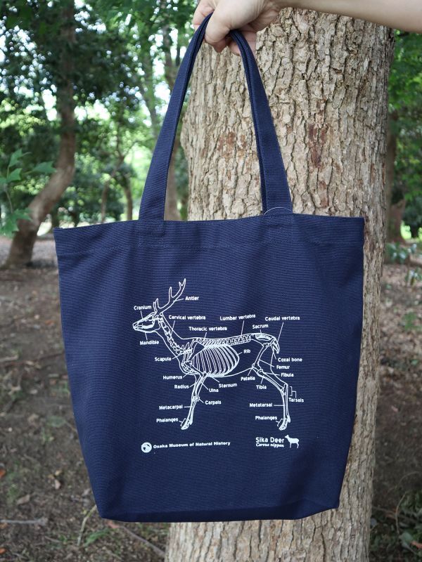 ニホンジカ♂全身骨格トートバッグ - 大阪市立自然史博物館友の会