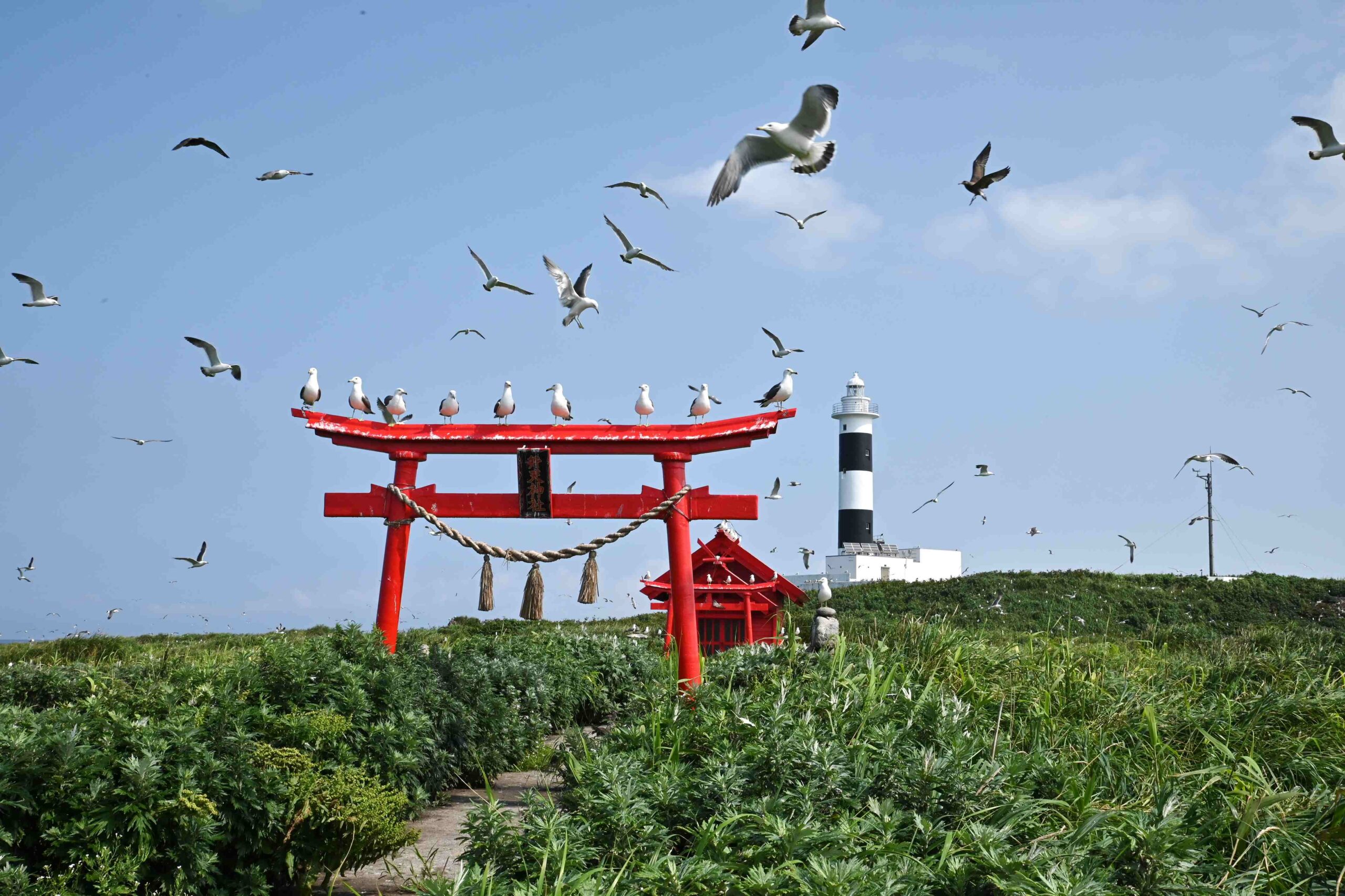 弁天島と大間埼灯台 | 大間町観光協会