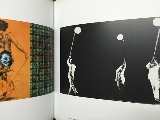 Immediate Experience／David Salle デビッド・サーレ | ON THE BOOKS