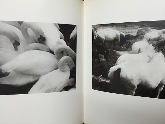 Twenty Five Years of an Artist / David Hamilton デヴィッド